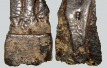 Dasypus-bellus-osteoderm