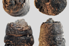 MI-coprolite-sm