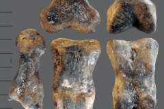 MI-robust-phalange