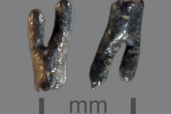 Mi-tiny-bone